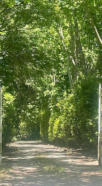 Maison à CORNEBARRIEU