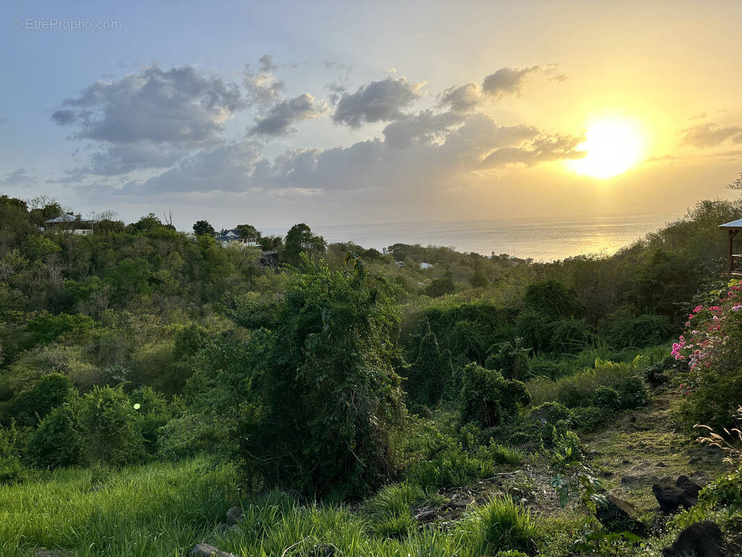 Terrain à BOUILLANTE