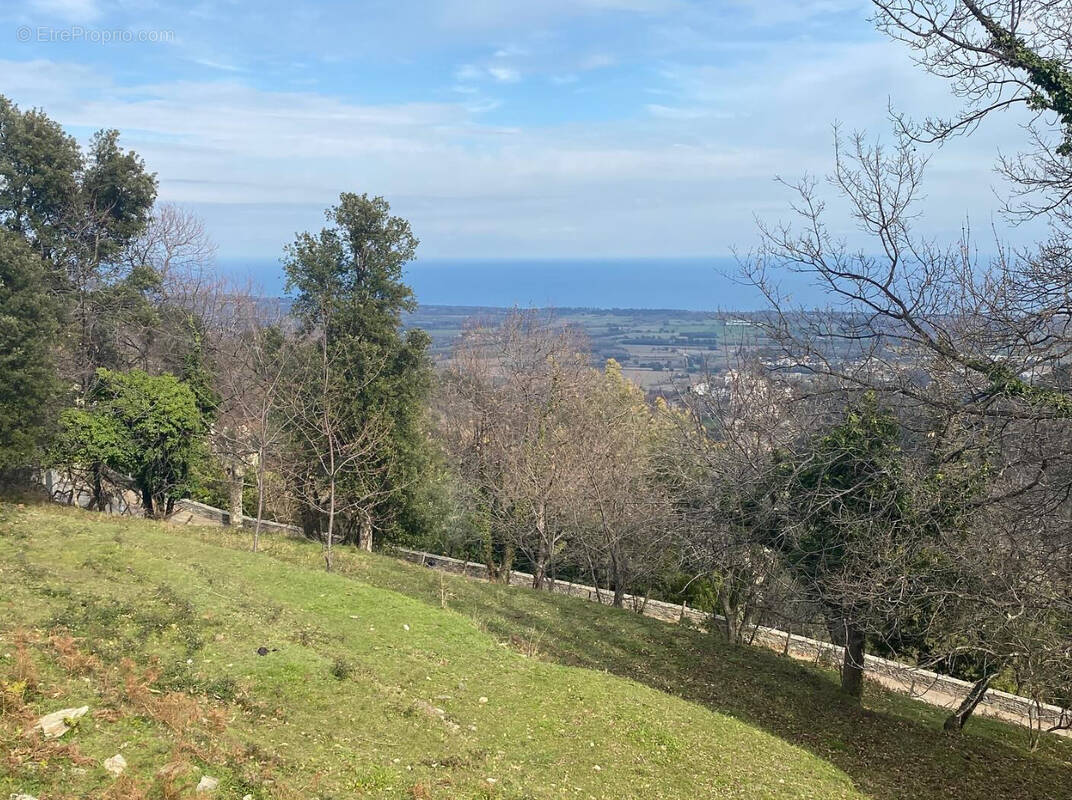 Terrain à PENTA-DI-CASINCA