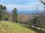 Terrain à PENTA-DI-CASINCA