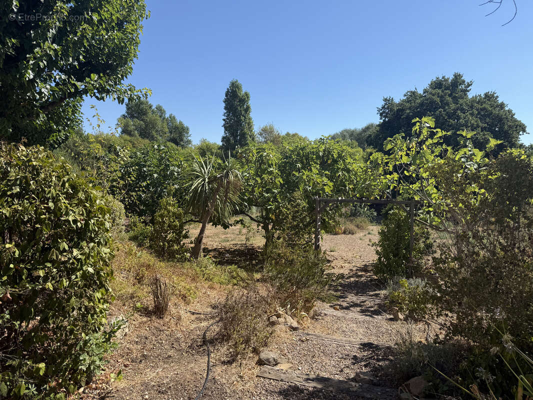Maison à ROQUEBRUNE-SUR-ARGENS