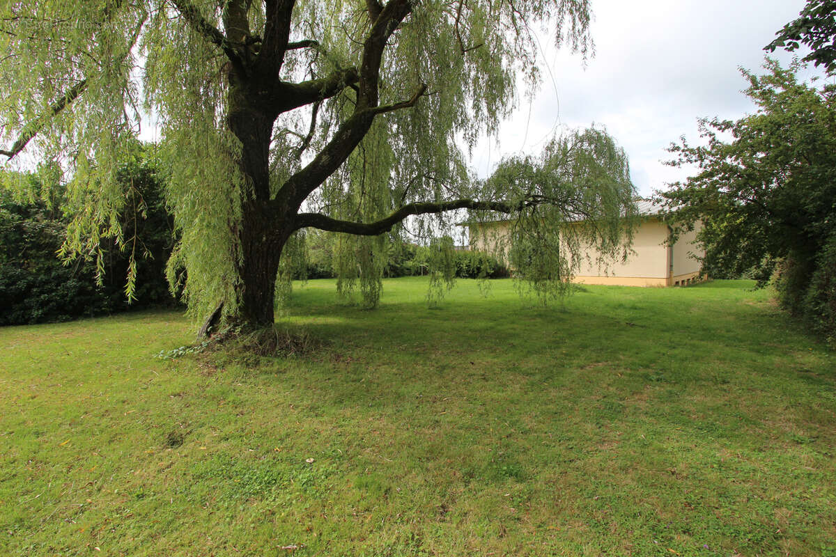 Maison à RAMBERVILLERS