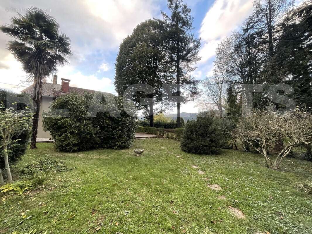 IMG_6886 - Maison à SAINT-AMANS-SOULT