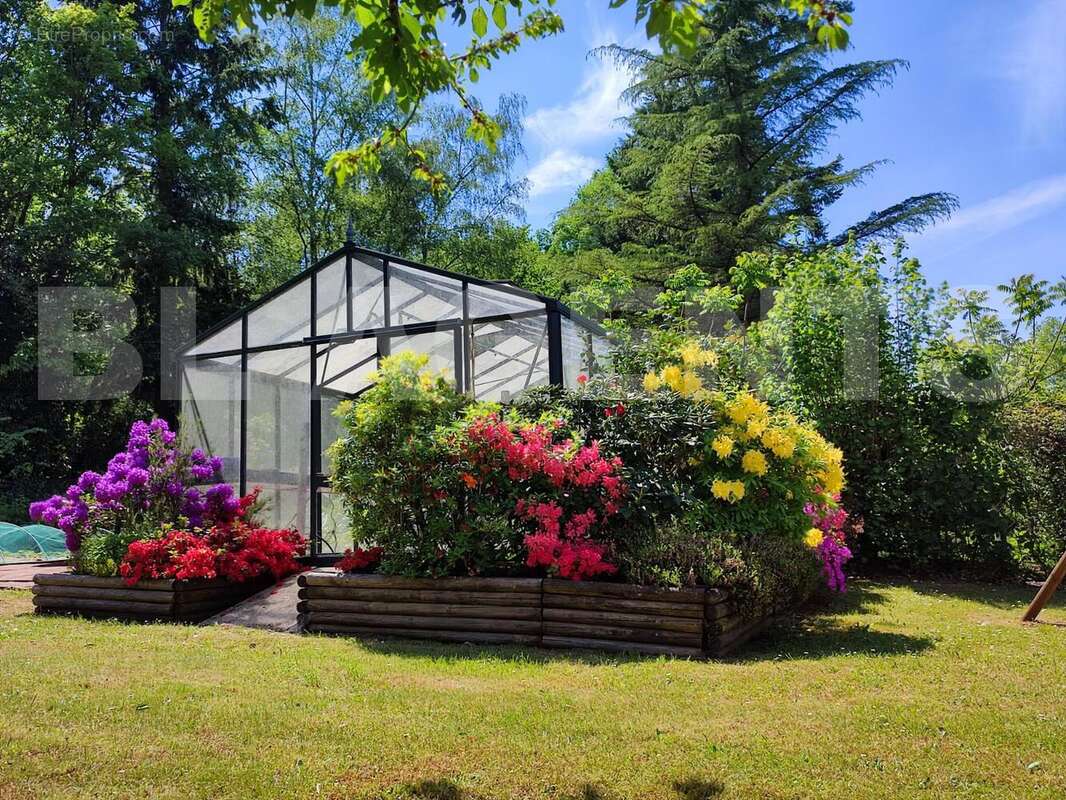 IMG_20250822_120052 - Maison à SAINT-FARGEAU-PONTHIERRY