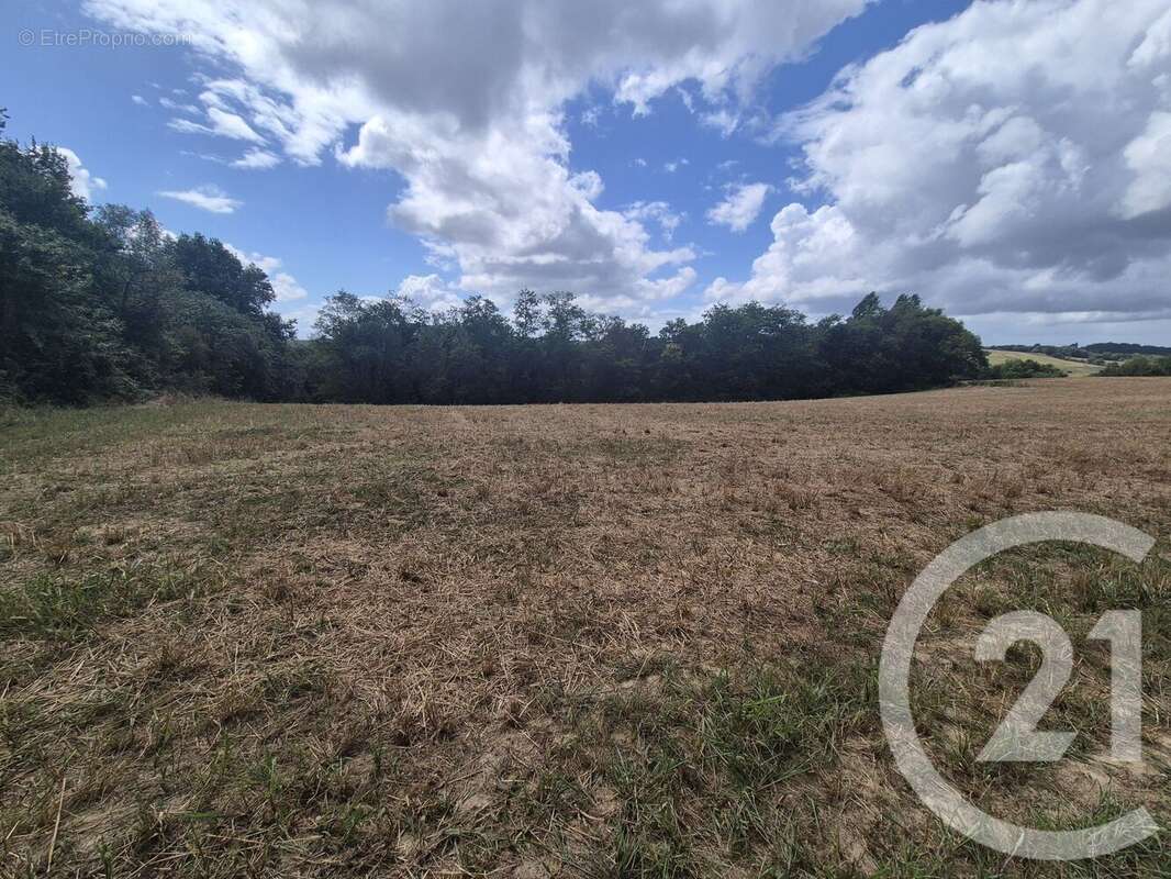 Terrain à SALIES-DE-BEARN