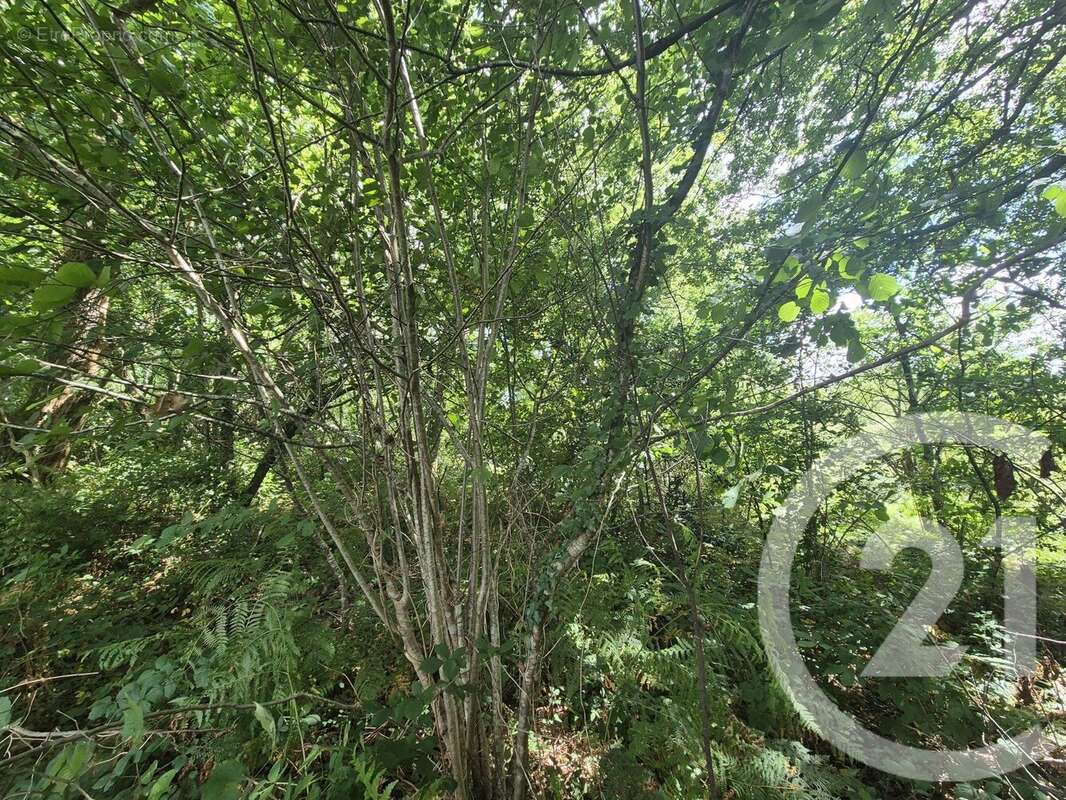 Terrain à SALIES-DE-BEARN