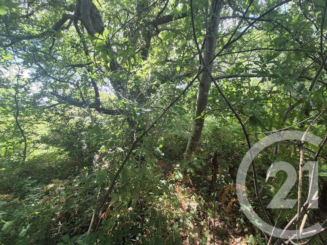 Terrain à SALIES-DE-BEARN