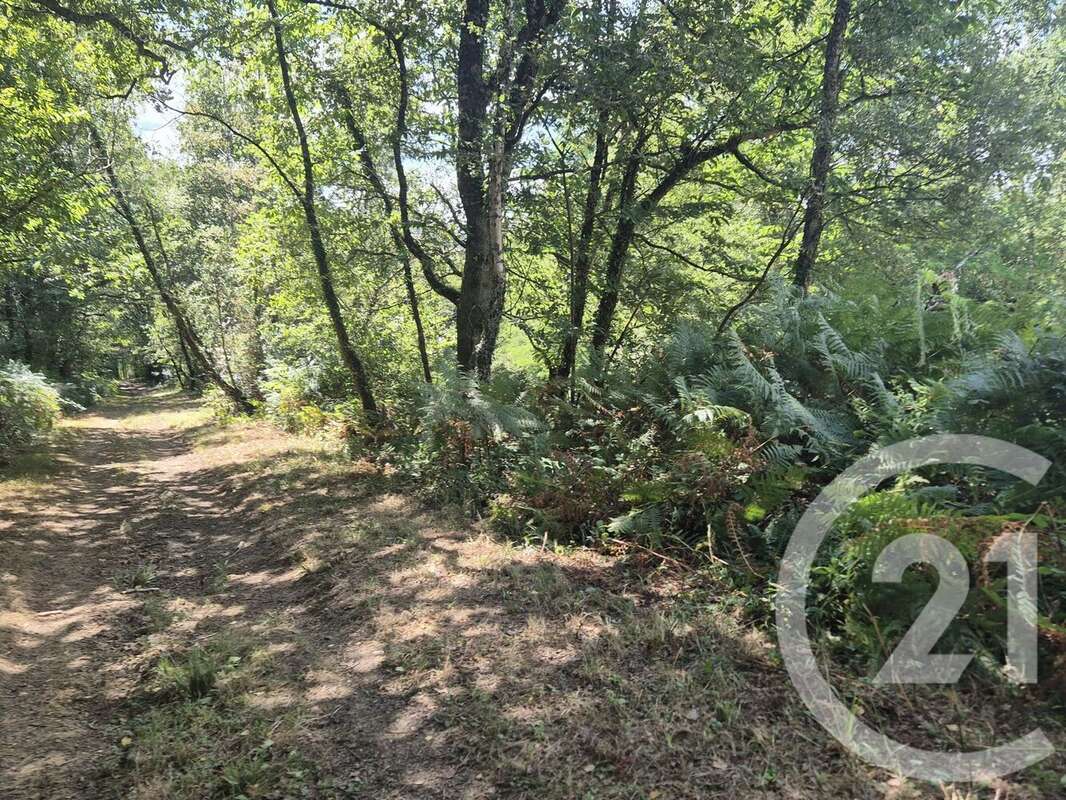Terrain à SALIES-DE-BEARN