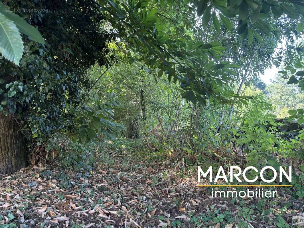 Maison à SAINT-AMAND-MAGNAZEIX