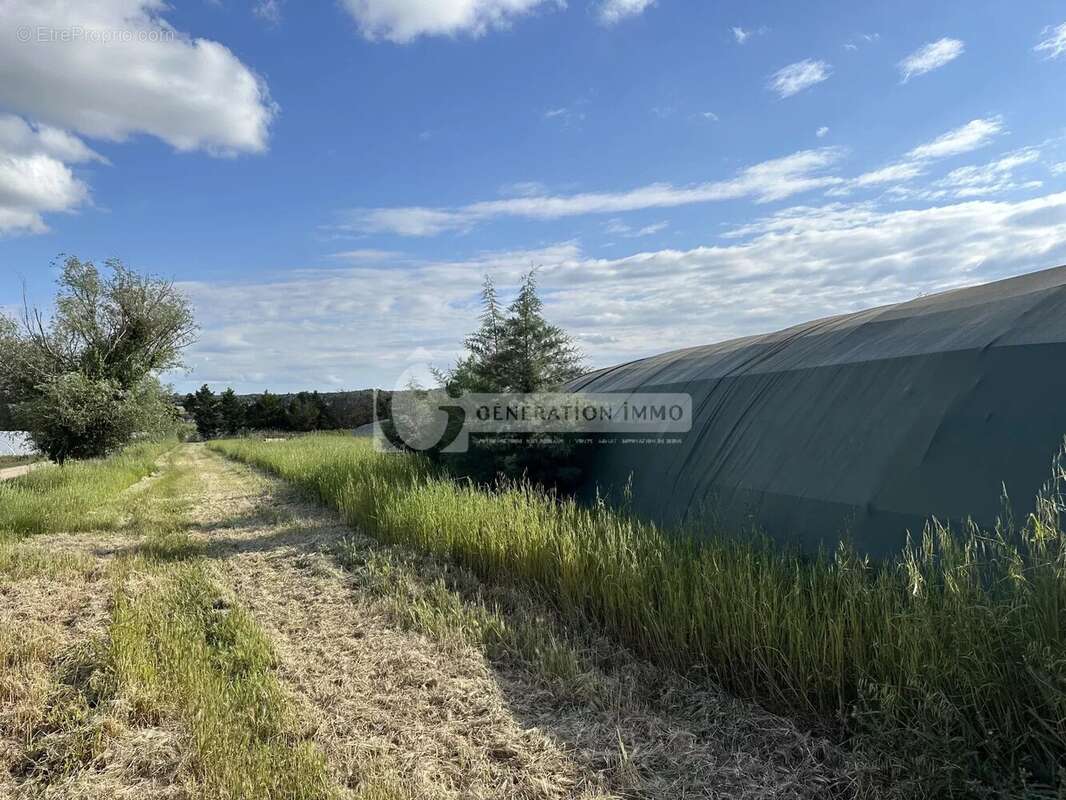Maison à FONTVIEILLE
