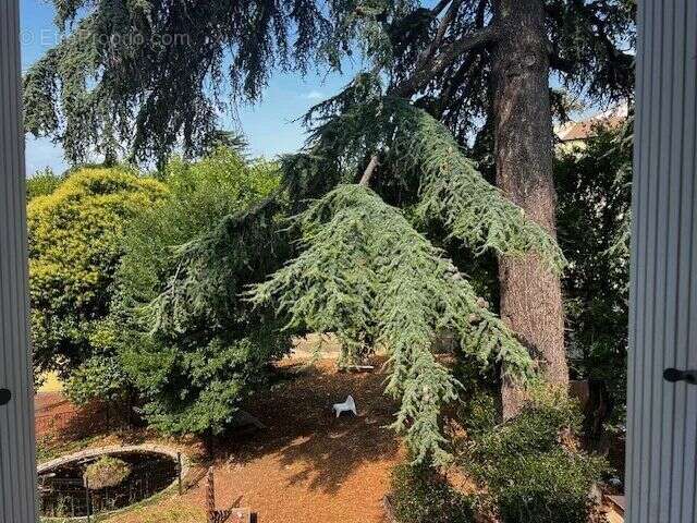 Appartement à LODEVE