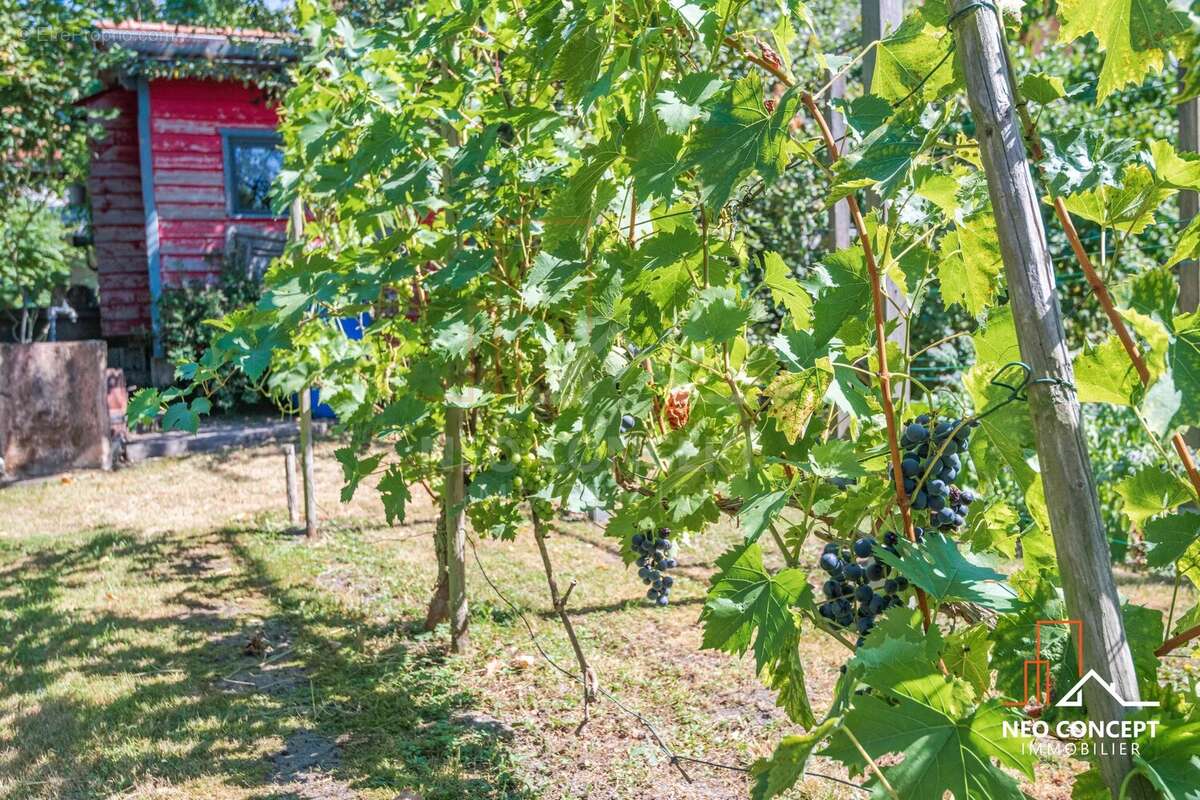 Maison à BISCHWILLER