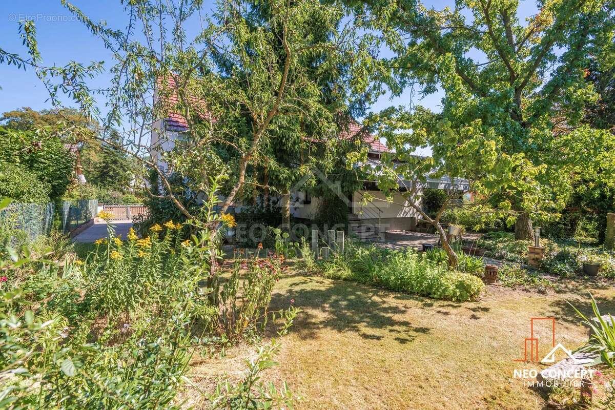 Maison à BISCHWILLER