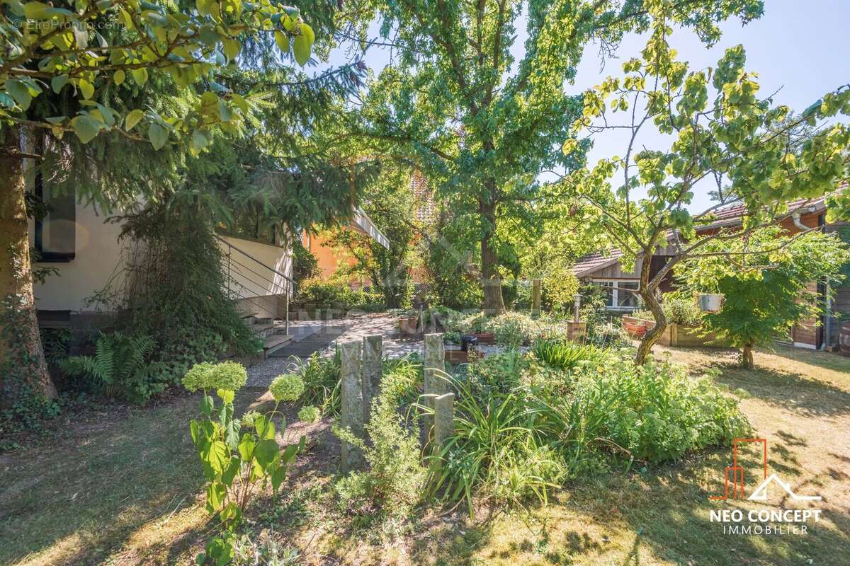 Maison à BISCHWILLER