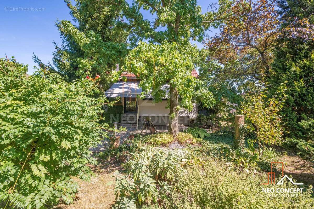 Maison à BISCHWILLER