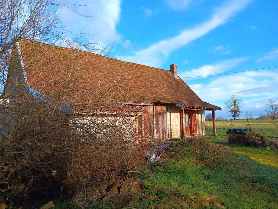 MAISON À VENDRE ENVIRON 100 m² - Maison à BEAUREPAIRE-EN-BRESSE