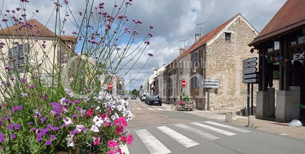Appartement à NOISY-LE-ROI