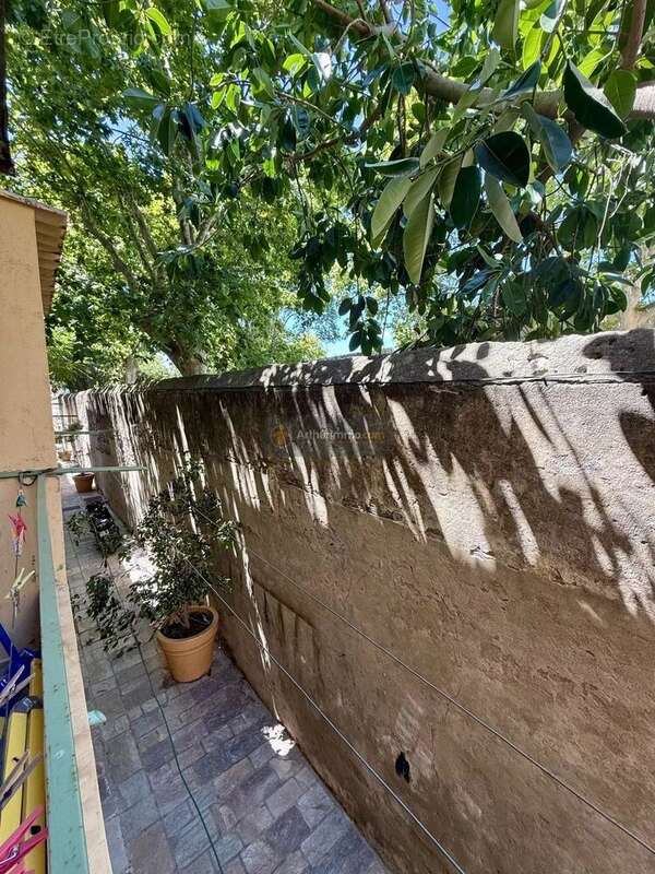 Appartement à SAN-MARTINO-DI-LOTA