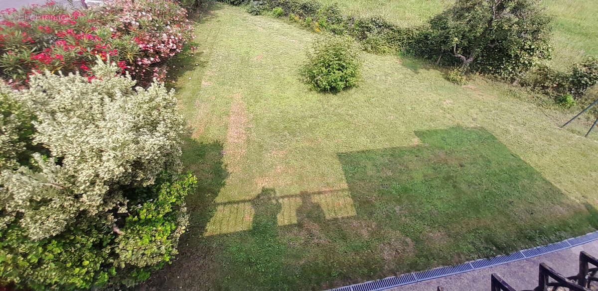 Le jardin - Maison à SAINT-PRIEST-LES-FOUGERES