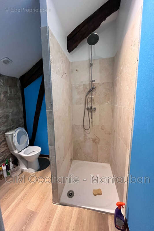 Maison à SAINT-ANTONIN-NOBLE-VAL