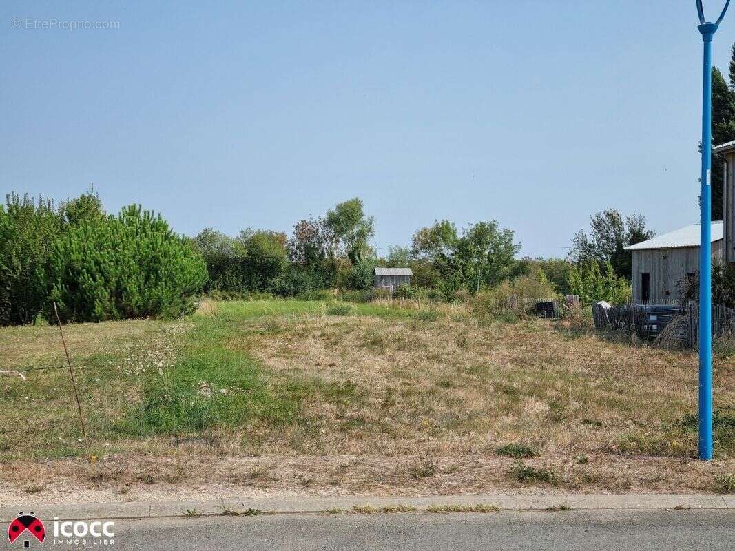 Terrain à LONGEVILLE-SUR-MER