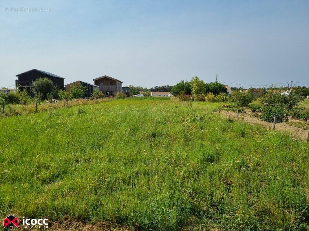 Terrain à LONGEVILLE-SUR-MER