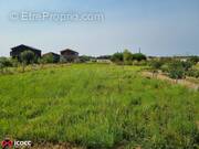 Terrain à LONGEVILLE-SUR-MER