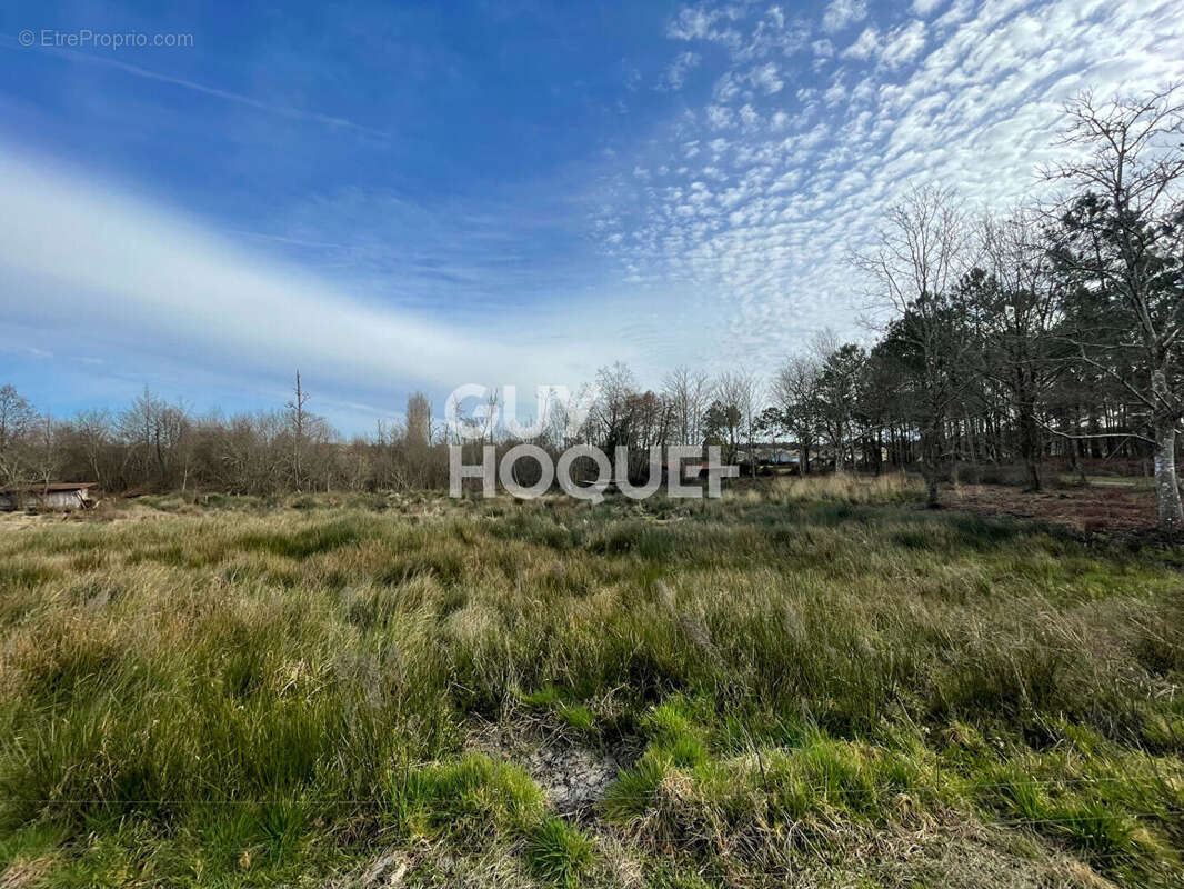 Terrain à LIT-ET-MIXE