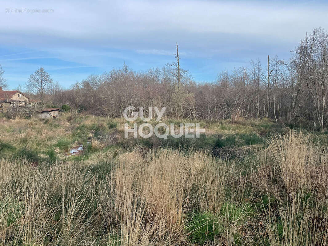 Terrain à LIT-ET-MIXE