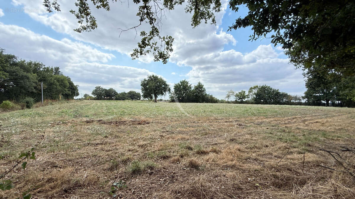 Maison à BOURNEZEAU