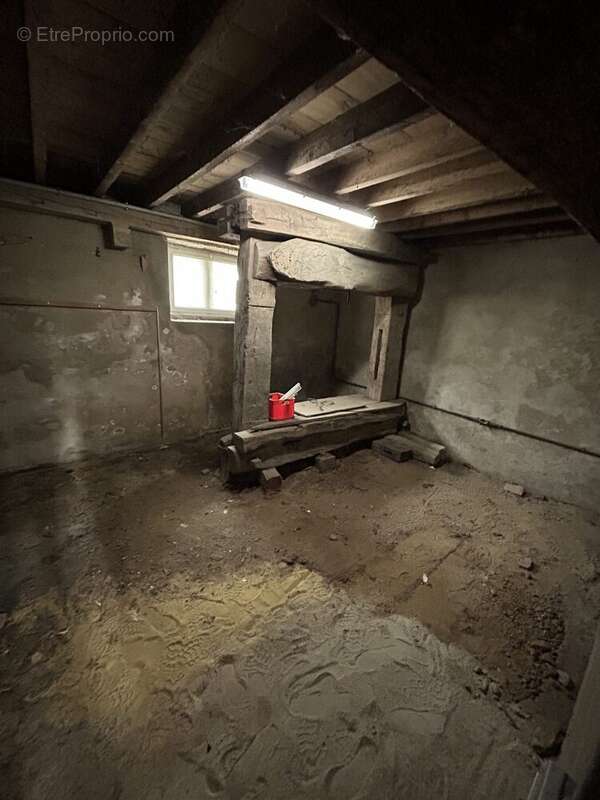 cave au RDC - Maison à OLIVET