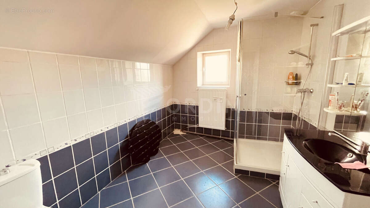 Maison à BUSSY-EN-OTHE