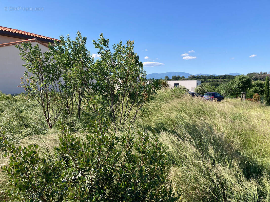 Terrain à PONTEILLA