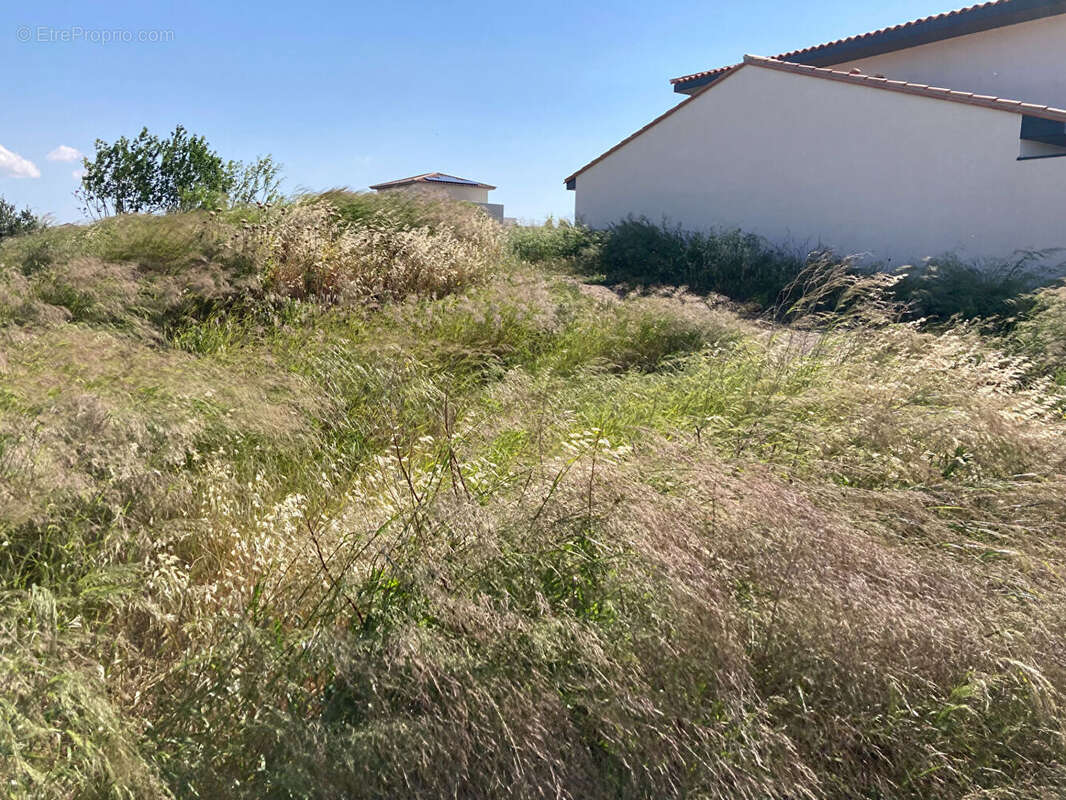 Terrain à PONTEILLA