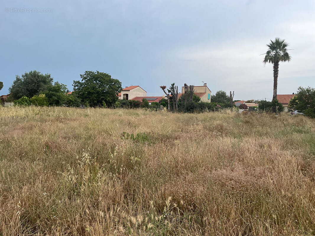 Terrain à MONTESQUIEU-DES-ALBERES