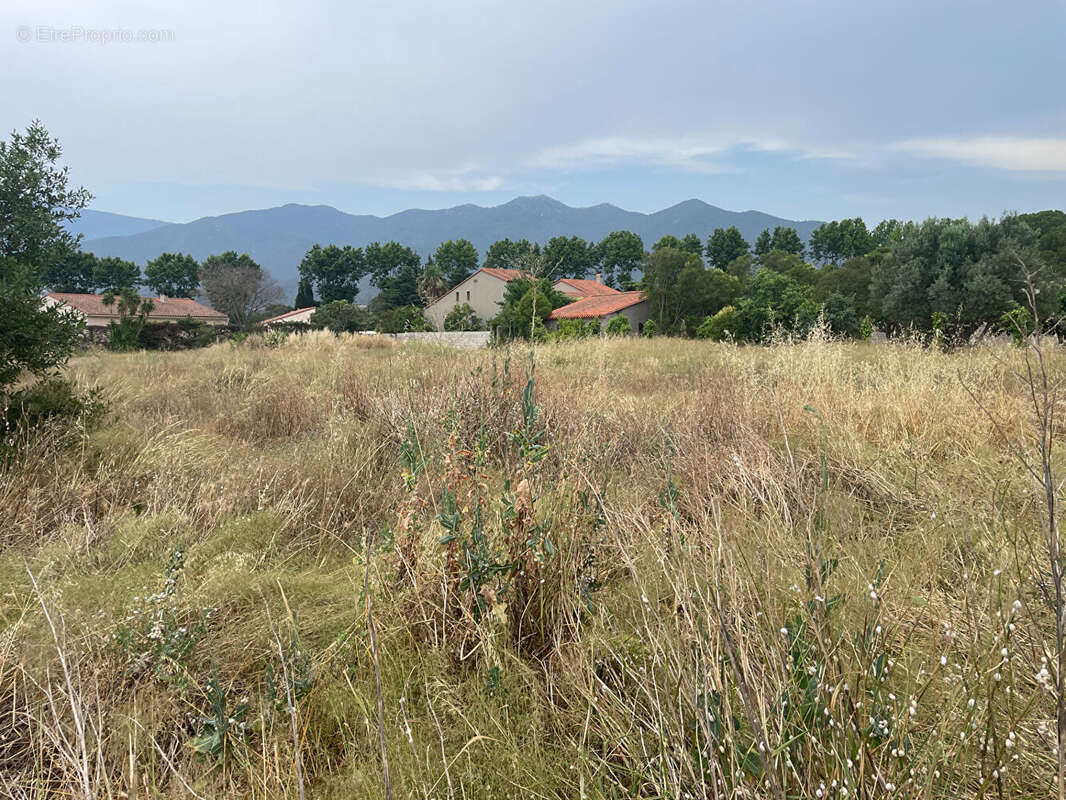Terrain à MONTESQUIEU-DES-ALBERES
