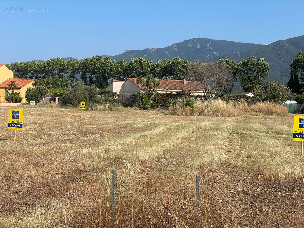 Terrain à MONTESQUIEU-DES-ALBERES