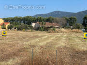 Terrain à MONTESQUIEU-DES-ALBERES