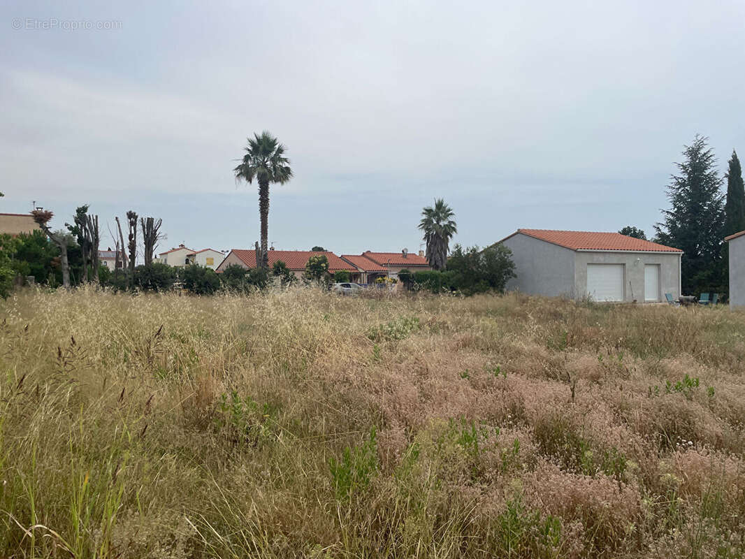 Terrain à MONTESQUIEU-DES-ALBERES