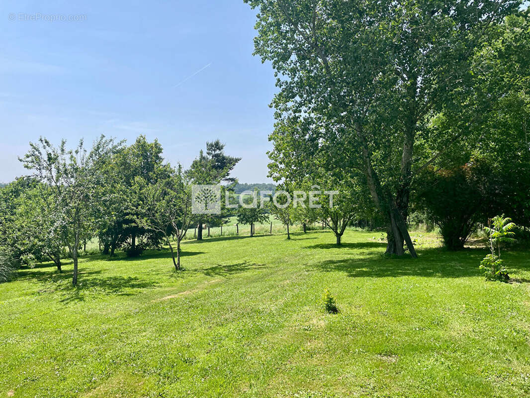 Maison à CASSAGNES-BEGONHES