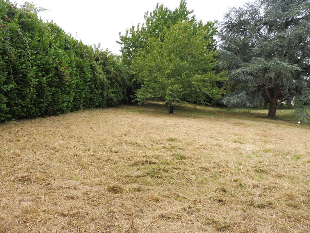 Terrain à CHAURAY
