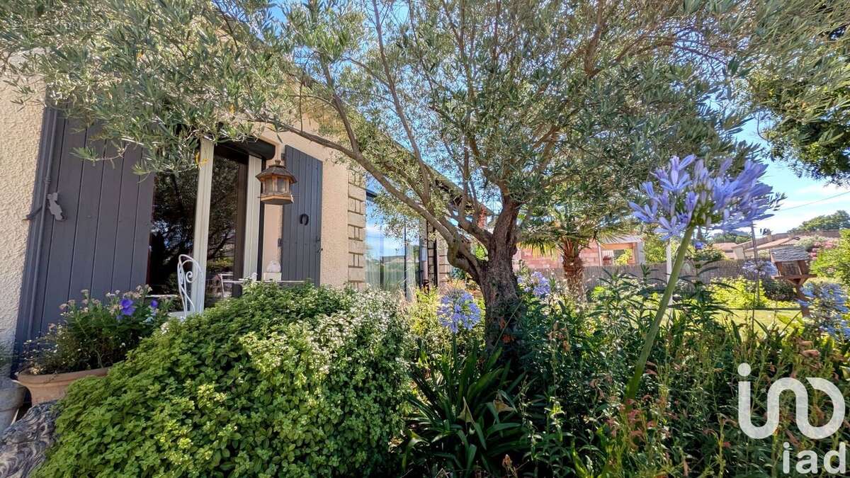 Photo 4 - Maison à MONTELIMAR