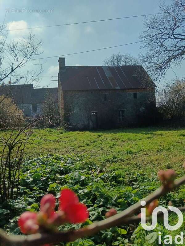 Photo 4 - Maison à LA BARRE-DE-SEMILLY