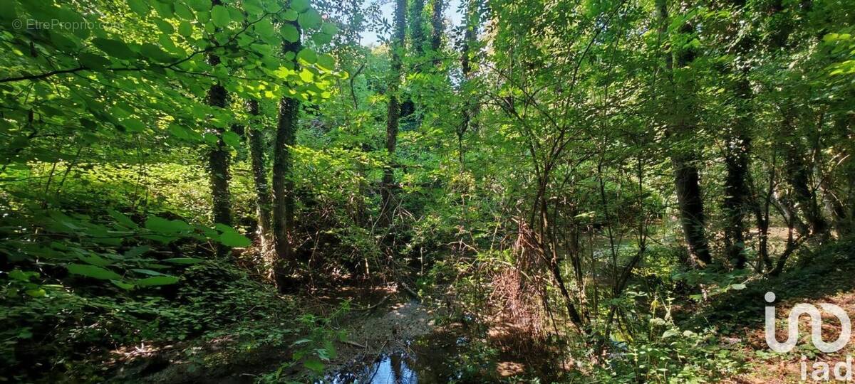 Photo 1 - Maison à FESTIGNY