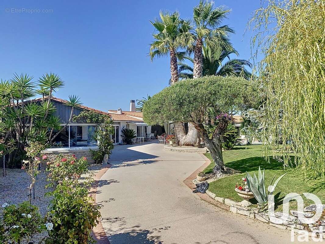 Photo 2 - Maison à SAINT-MARTIN-DE-RE