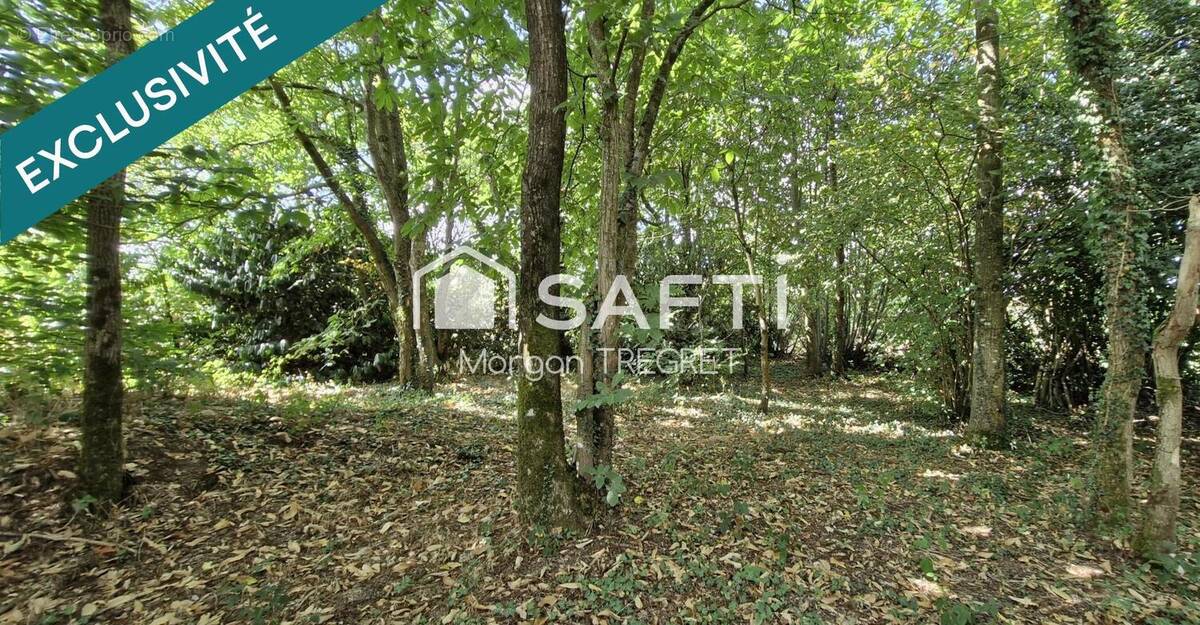 Photo 1 - Terrain à NOZAY