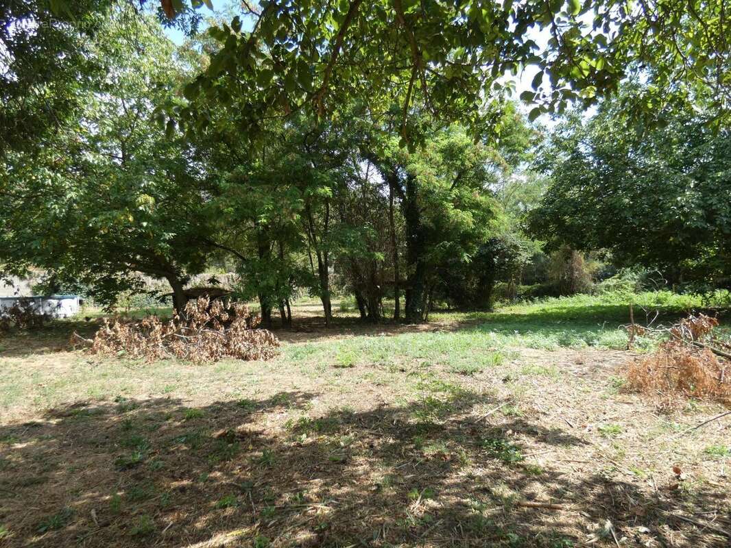 Photo 2 - Maison à VILLENEUVE-MINERVOIS