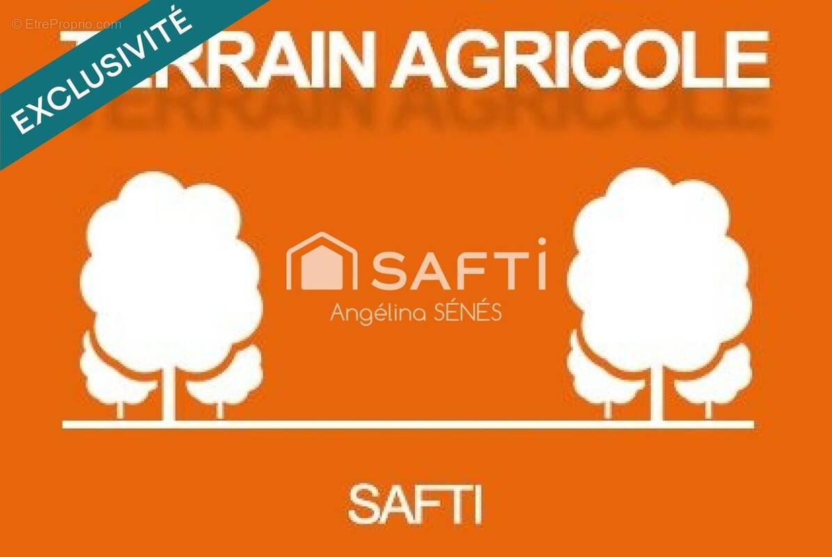 Photo 1 - Terrain à DONNEZAC