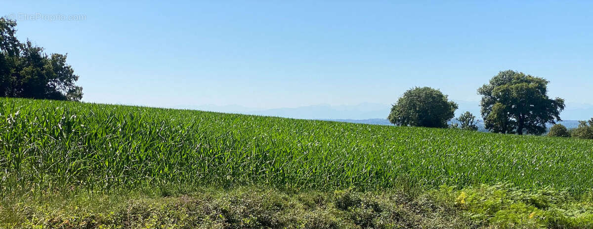 Terrain à LABEYRIE