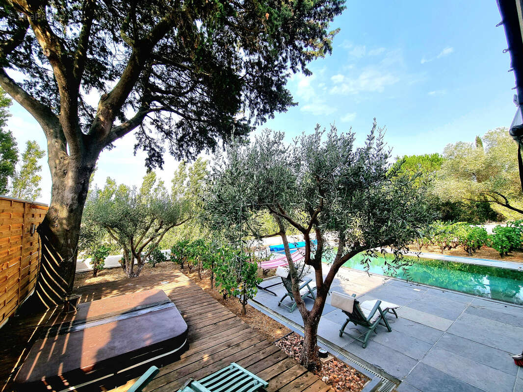 Maison à SAINT-ANDRE-DE-ROQUELONGUE